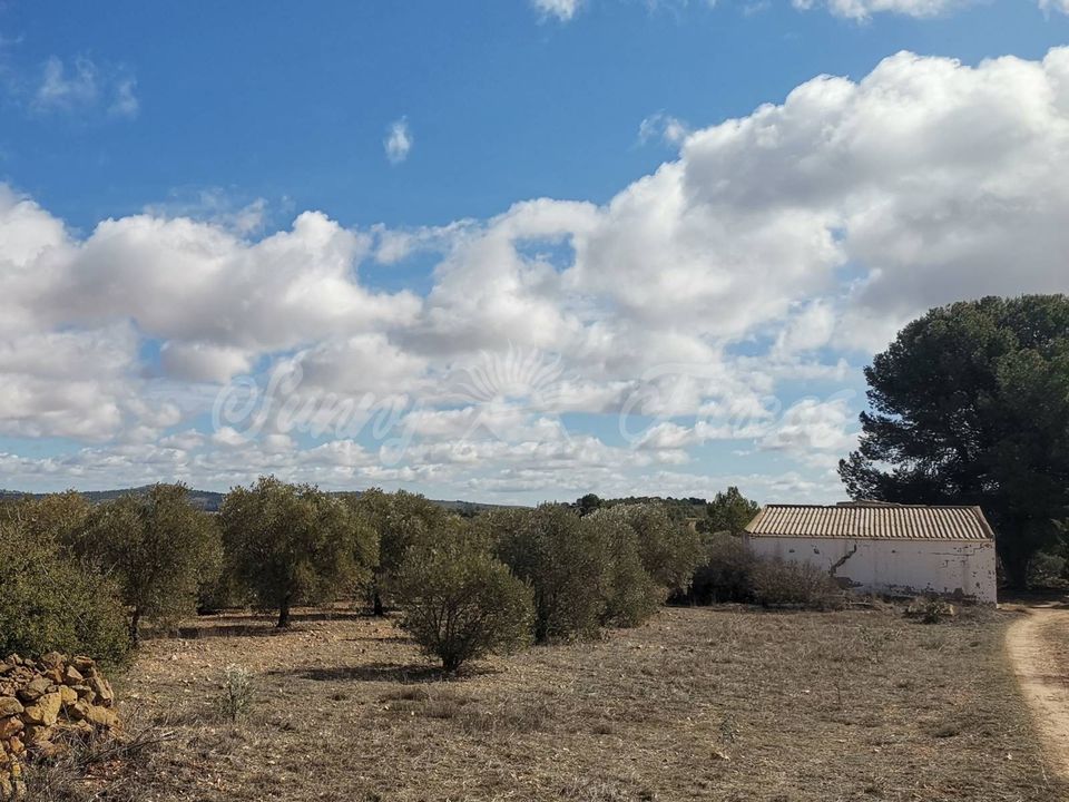 Landejendom i Yecla, Murcia - foto 2